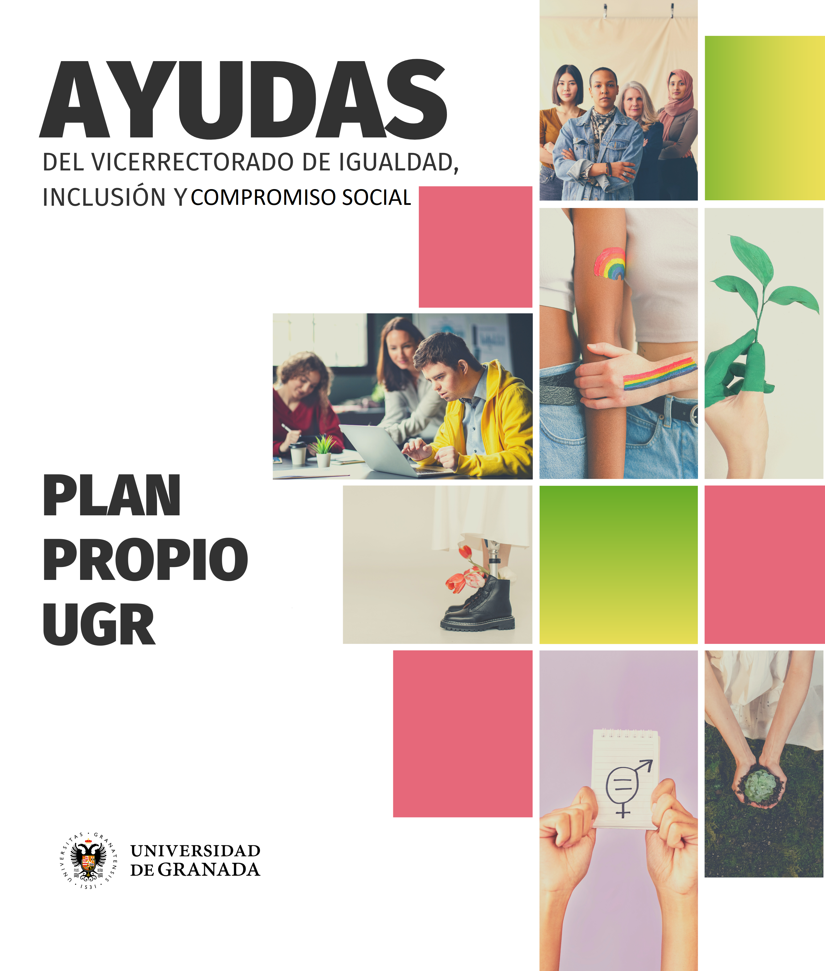 Ayudas plan propio