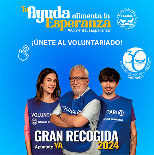 Gran recogida de alimentos 2024