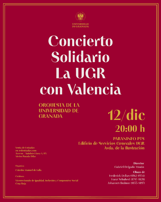 Concierto solidario