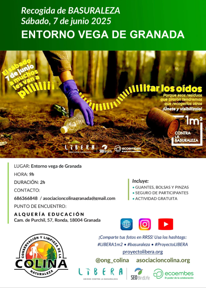 Botellas y lata tiradas en el bosque
