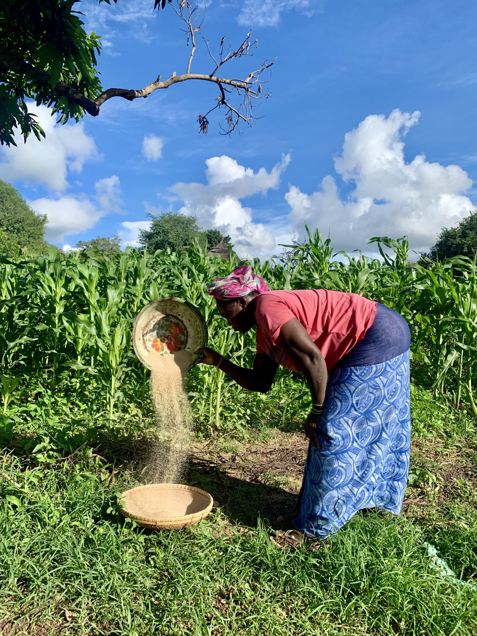 Mujer trabajando en el campo