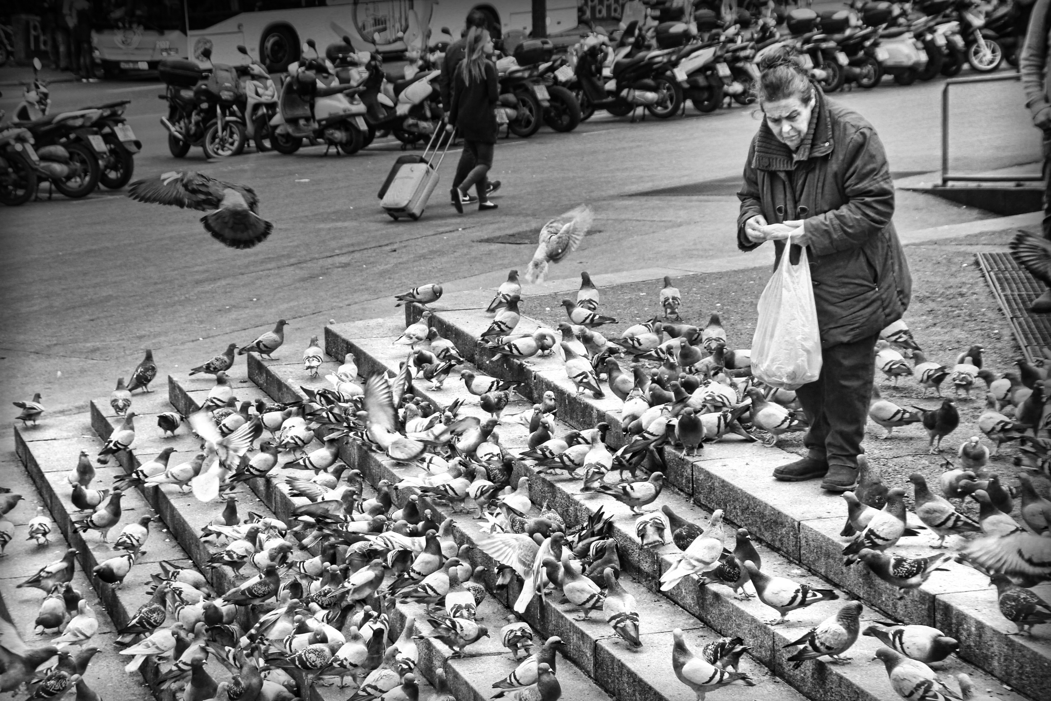 Mujer dando comida a las palomas