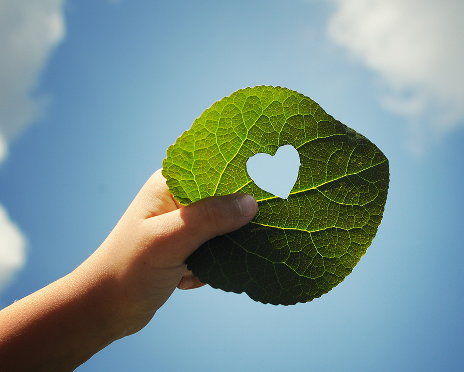 Hoja corazón