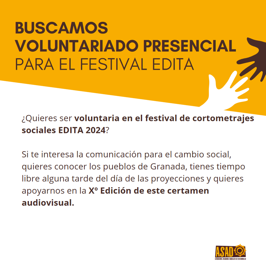 Voluntariado festival edita