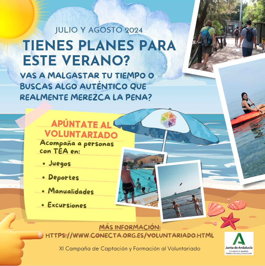 Talleres de verano