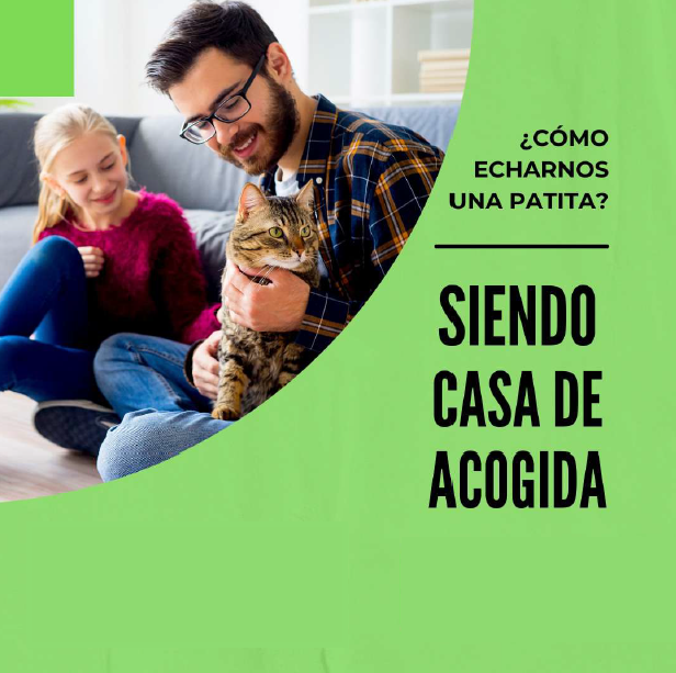 familia con gato en acogida