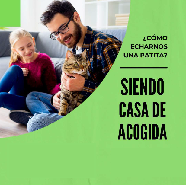 Acogimiento temporal de perros y gatos familia con animal de acogida
