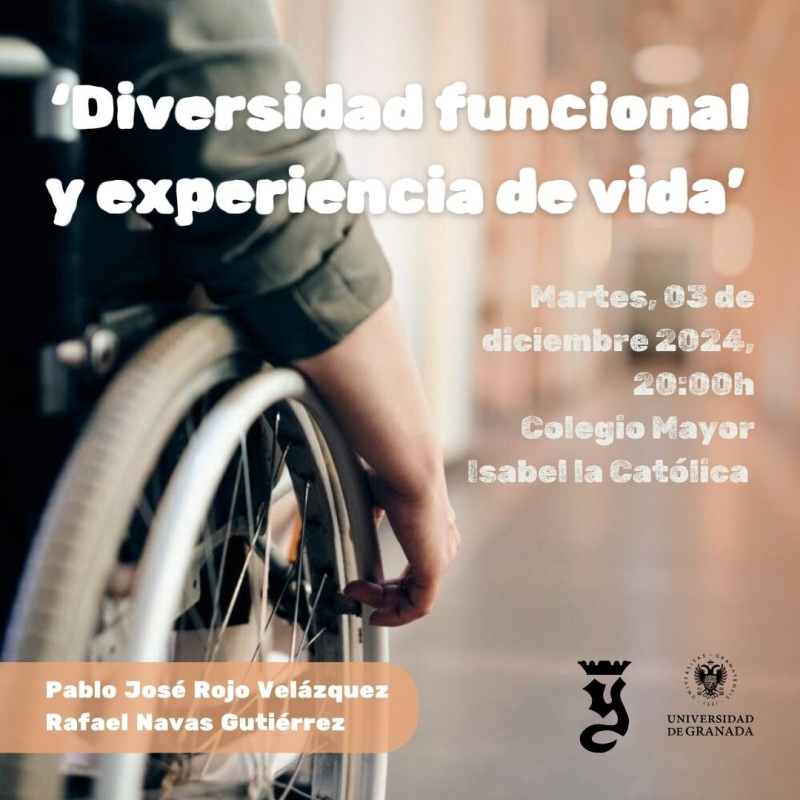 Diversidad funcional y experiencia de vida imagen silla de ruedad